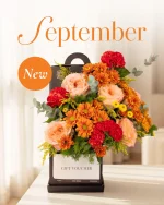 September Signature Classic Gift Voucher Box
